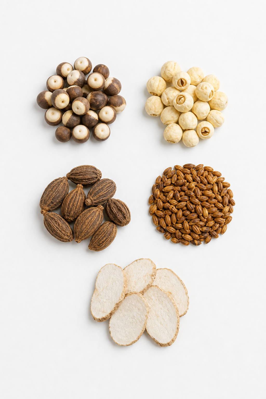 Stomach & Spleen Strengthen ingredient study